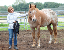 Sarah Lee Overcash, Equus Coach, with Hope, one of her horses she uses in Equus coaching.